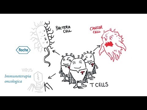 Scatenare l’esercito delle Cellule T