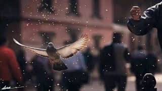 Şehr~İ~stanbul