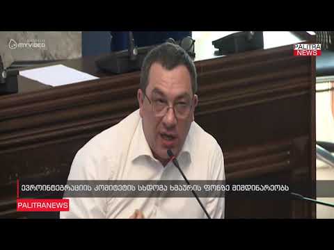 ევროინტეგრაციის კომიტეტის სხდომა ხმაურის ფონზე მიმდინარეობს