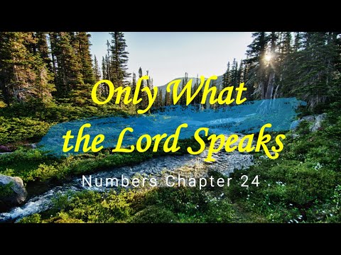 Numbers Chapter 24 Only What the Lord Speaks | Numbers Chapter 24 - YouTube