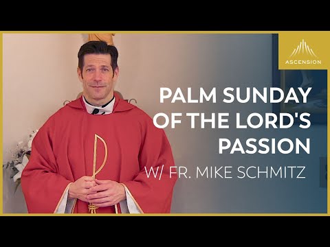 วีดีโอ: Palm Sunday: สิ่งที่ไม่ควรทำ พิธีกรรมและประเพณี