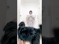 犬🐶乱入！白衿&白足袋に小千谷縮と帆船の帯でまあまあ正統派👘 インカメ撮影#kimono #fashion #bernesemountaindogs #着物 #バーニーズマウンテンドッグ