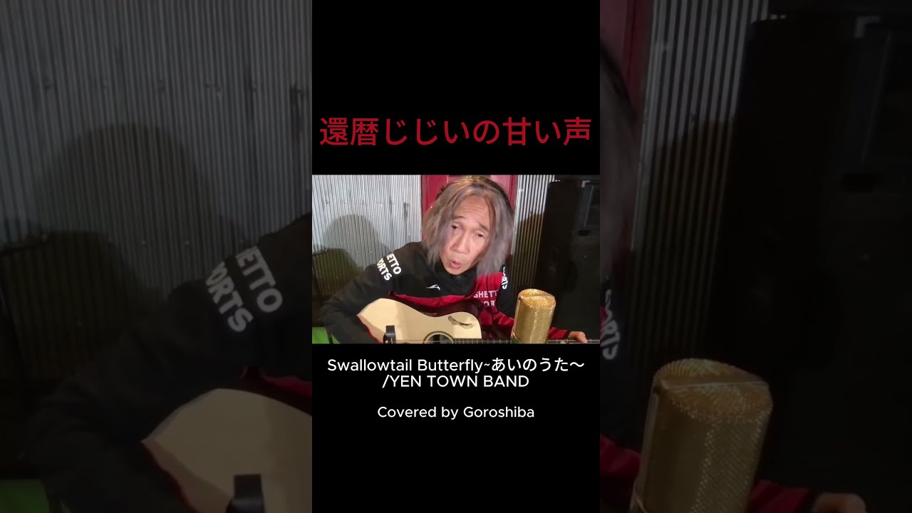 Swallowtail Butterfly~あいのうた/YEN TOWN BAND Covered by
