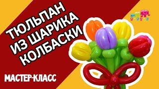 Тюльпан из ШДМ: как сделать тюльпан из воздушных шаров?