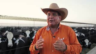 2021 BQA Feedyard Award - Imperial Valley Feeders, California