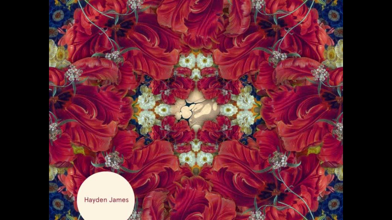 Beginnings Hayden James Lyrics Song Meanings Videos Full Albums Bios