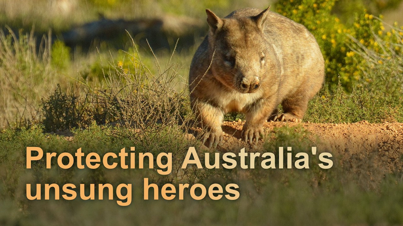 Protecting Australia's unsung heroes