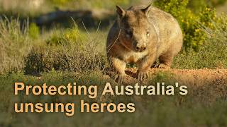 Protecting Australias unsung heroes