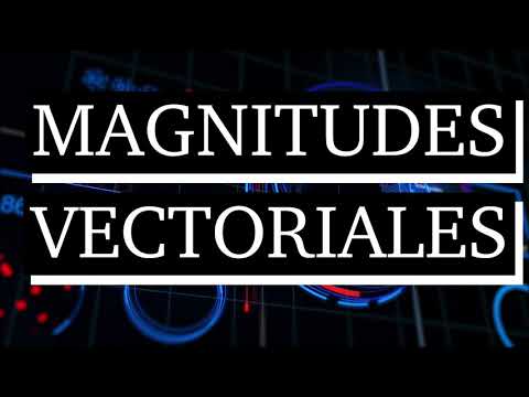 Qué son magnitudes