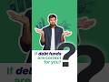 Are Debt Funds Right for You? Simple Explanation! #shorts #viral #ytshorts #trending #viral
