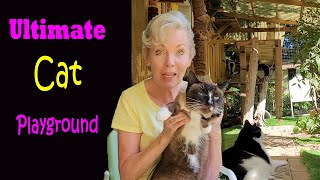 Total Gym for Your Cat - Home or Catio 🐱