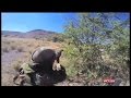terror target
