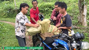 Hướng Phát Triển Kinh Tế Nhà A Tênh - Lần Đầu Gặp Mặt Chồng Em Dợ | Cói Lalin