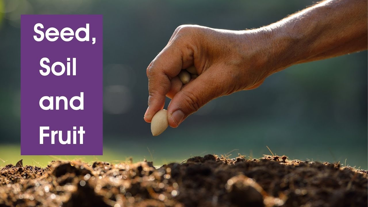 Seed, Soil and Fruit