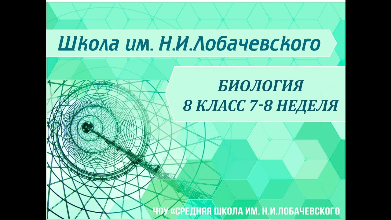 Биология 8 класс 7-8 неделя Гуморальная регуляция функций в организме