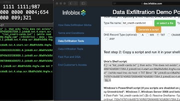 hcG @ NUBIT 2020 - DNS Exfiltration