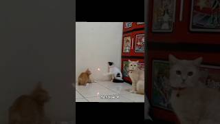 Ide Bagus Kan Temen Temen Cimeng