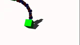 Robotic Tail Behavior Emerges From Simple Rules