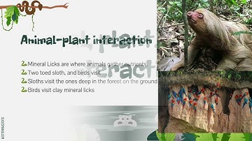 LS2A Interdependent Relationships in Ecosystems