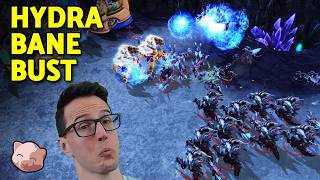 A ZvP Classic - 66 drone hydra bane bust PiG vs Special