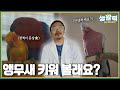 [생활력] 앵무새 브리더입니다! 괴산 앵무새 농부 🦜｜반려동물 앵무새｜신나는 농부 성기욱｜MBC충북 | 250701