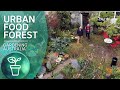 Over 50 fruit trees in an eclectic edible garden | Urban farming | Gardening Australia