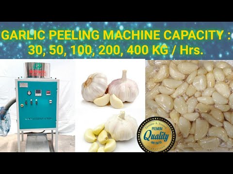 Dry Garlic Peeling Machine Ahmedabad