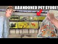 Saving fish from abandoned pet store