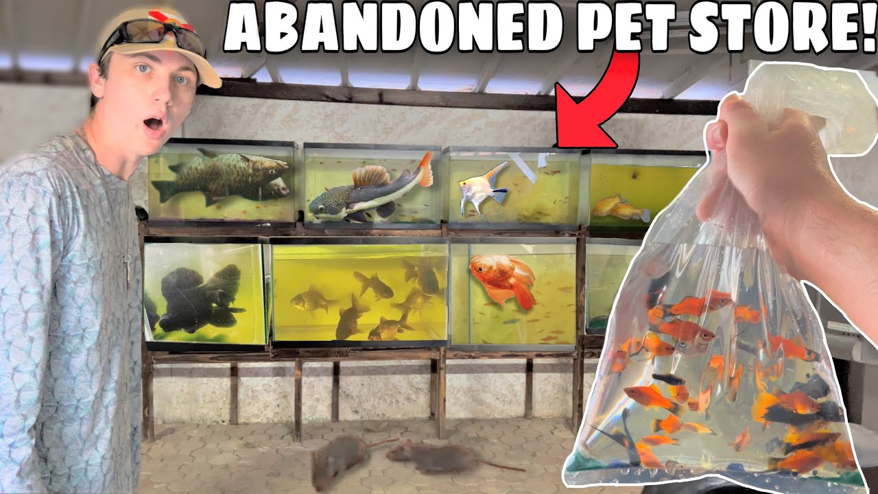 Saving Fish From Abandoned Pet Store!