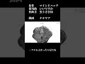 2026年3月1日