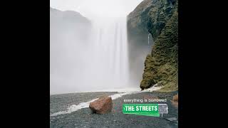 The Way Of The Dodo - The Streets