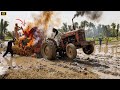 Fiat 480 Tractor Extreme Power on Wheat Thrasher | Important Safety Tips for Farmers | 4K Ultra HD