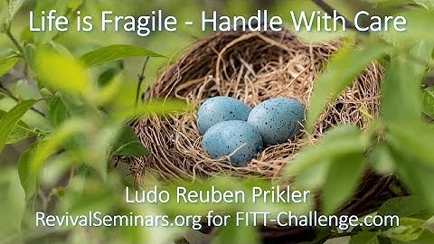 Life is Fragile Handle With Care