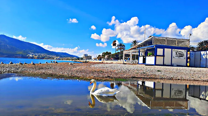 Sunny walk Albir - Altea, great restaurants and views! #benidormbyana #altea #albir