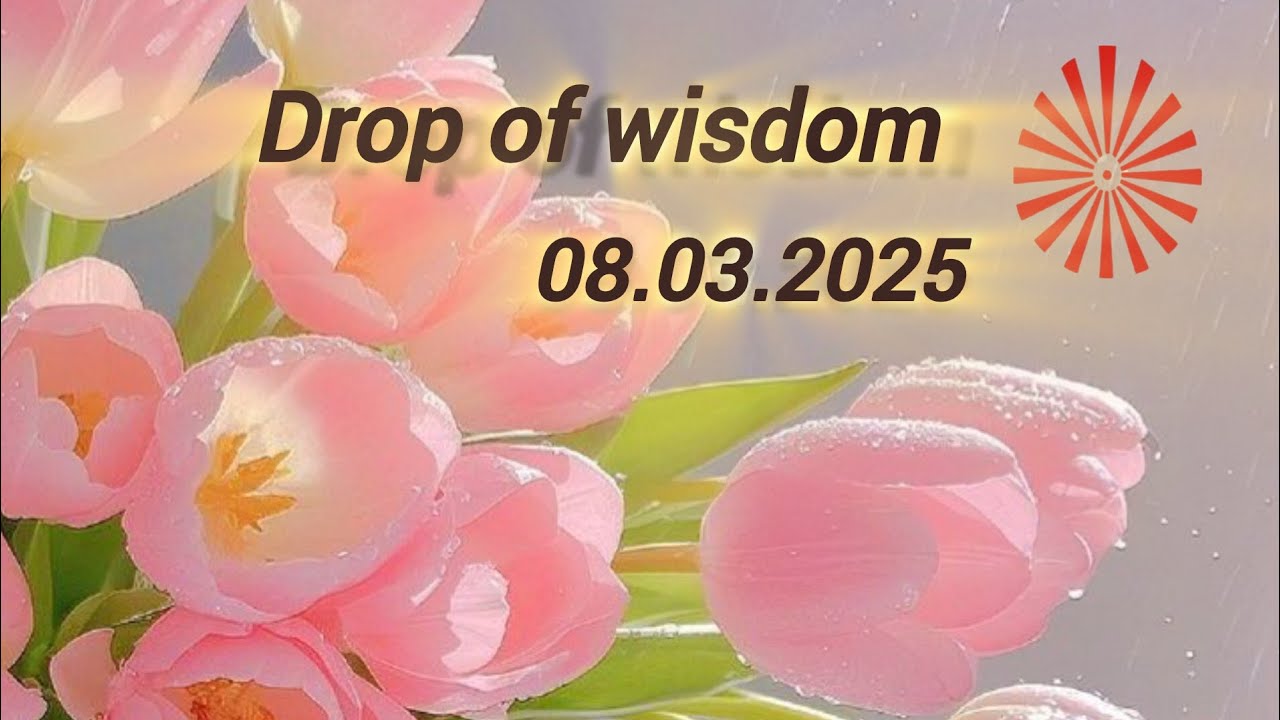08.03.2025 | 💧Drop of wisdom💧| Lighthouse Batticaola