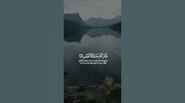 تَبَّتْ يَدَا أَبِي لَهَبٍ وَتَبَّ "| سورة المسد