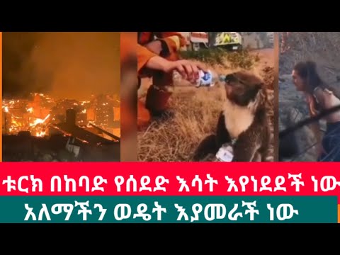 ቪዲዮ: ደፋር እና ወታደር ያልሆነ ጀብዱዎች