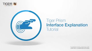 Tiger Prism Interface Explanation screenshot 4