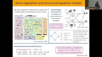UAI 2023 Keynote Talk: Caroline Uhler "Causal Representation Learning & Optimal Intervention Design"
