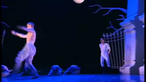 Swan Lake - Pas De Deux (Cooper & Ambler)