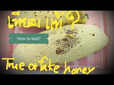 วีดีโอ: Norichnik Knotty - พืชน้ำผึ้งที่ยอดเยี่ยมและผู้รักษา