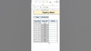 How to Set Up an Expiry Alert in Your Spreadsheets! #ExcelTips #ExpiryAlert