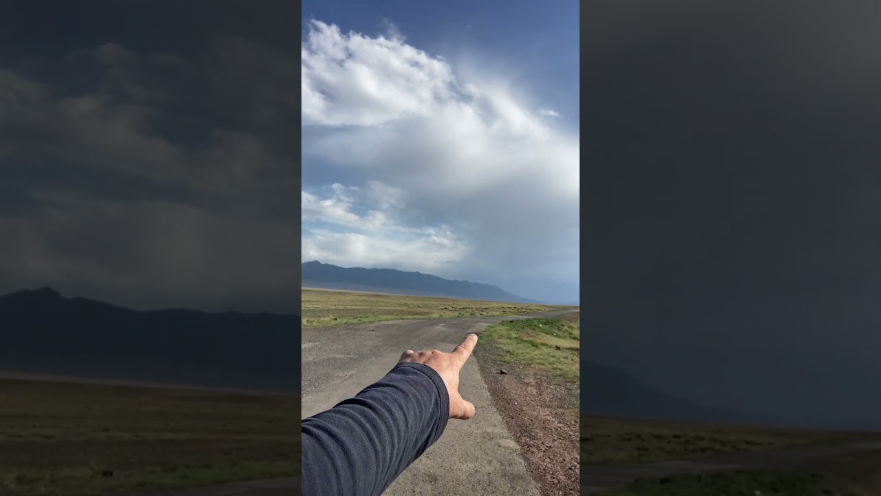 Этого вида достаточно! Бартогай! 