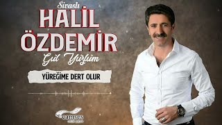 Halil Özdemir - Yüreğime Dert Olur Resimi