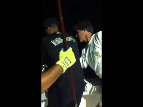 Von Getting Some Exercise 