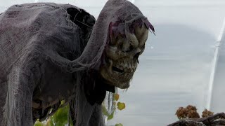 Haunted hayride success for Watertown company