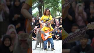 viral monyet main gitar listrik di taman kota jakarta #shorts #music #guitar