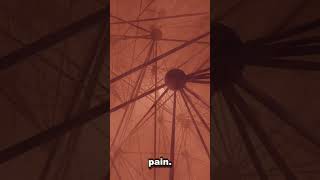 Can AI Feel Pain? Discover the 2025 Breakthrough