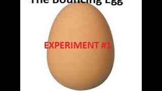 Science Experiment Bouncing Egg Theory & How To Make It