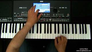 Korg Style Pitbull I Know You Want Me For Korg PA300, PA600/QT, PA900, PA3X, PA4X. By Lamios Music screenshot 1